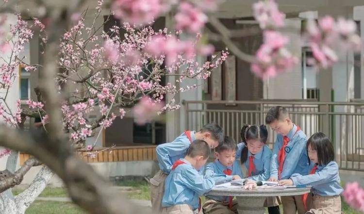 小学“作业熔断机制”引热议！21：30停止作业IM电竞 电子竞技平台没完成也不受批评(图5)